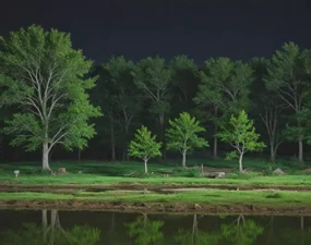 Skup działek a ochrona środowiska — pozwolenia i ograniczenia